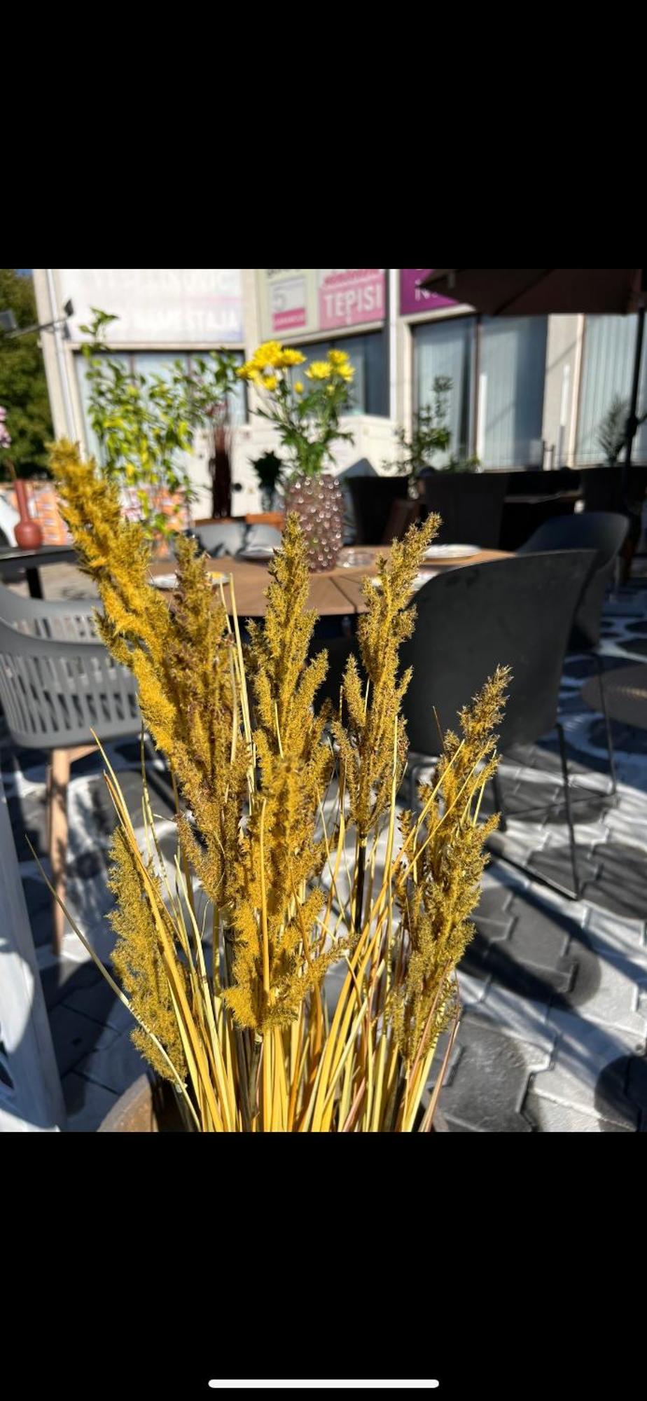 Villa Grazia Vladičin Han Εξωτερικό φωτογραφία