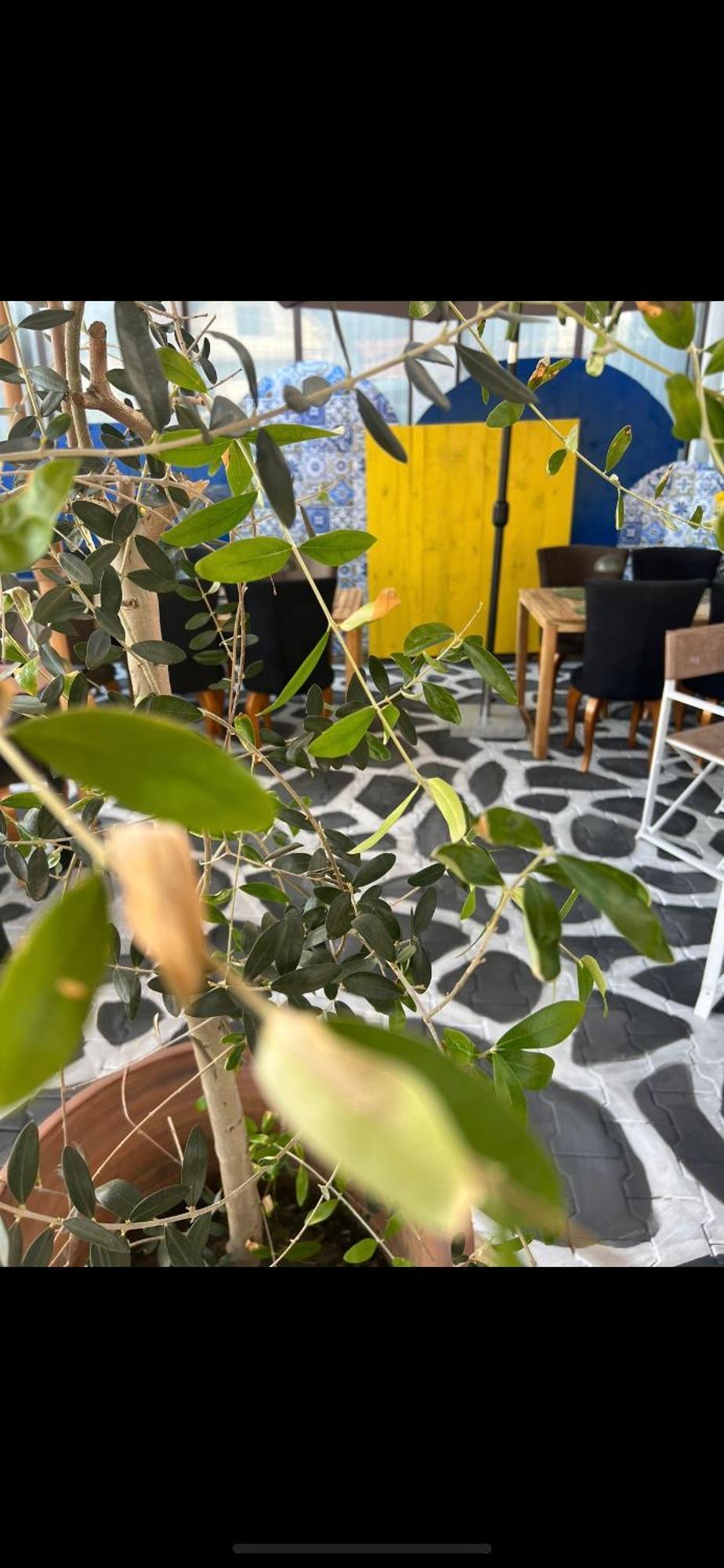 Villa Grazia Vladičin Han Εξωτερικό φωτογραφία